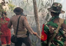 BPBD Banyuasin Buka Pendataan Relawan Karhutlah