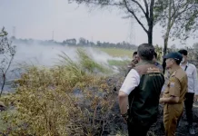 Api Hanguskan 253 Hektare Lahan di Palembang, Ratu Dewa Perkuat Posko Karhutla