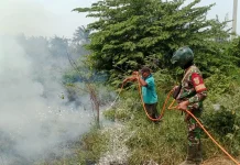 Aksi Cepat Babinsa dan Petugas Gabungan Padamkan Kebakaran Lahan di Gandus