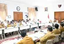 Pemkab Banyuasin Perkuat Verifikasi Data Sosial Ekonomi