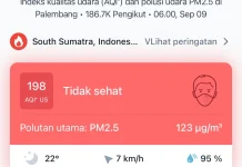 Udara Palembang Tidak Sehat, Kabut Tipis Selimuti SMB II