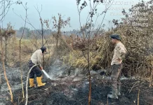 Tembus Medan Gambut, Satgas Berjibaku Padamkan Karhutla Ogan Ilir