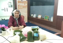 Kolang - Kaling dan Cincau Hijau Menjadi Peluang Usaha yang Menyegarkan