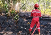 PHR Zona 4 Padamkan Lebih dari 100 Titik Api Karhutla di Sumsel