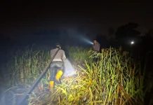 Satgas Karhutla Padamkan Kebakaran Lahan 7 Hektare di Ogan Ilir