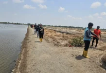 PLN S2JB Percepat Elektrifikasi Desa melalui Survei PLTS Komunal Sumsel