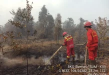 Pemadaman Karhutla Kebun Raya Sriwijaya Memasuki Hari Kedelapan