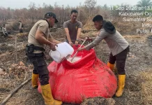 Satgas Aman Nusa II Dinginkan 2 Hektare Lahan Gambut dengan Formula X-Fire