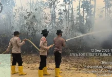 Polisi Bersama Tim Gabungan Padamkan Karhutla di Sungai Keruh