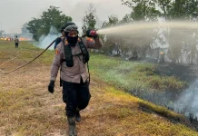 Karhutla Hanguskan 10 Hektare Lahan di Pemulutan Barat, Polisi Imbau Warga Waspada