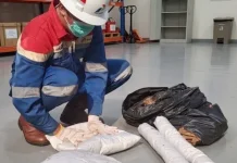 Pertamina EP Prabumulih Ubah Limbah Sabut Kelapa