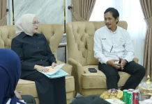 PLN Siapkan PLTS Komunal untuk Perluas Listrik di Kuala Sugihan