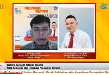 Karhutla Kembali Terjadi, Walhi Pertanyakan Upaya Pengawasan Konsesi Hutan