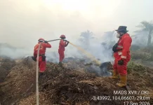 Hotspot Nasional Menurun, Sumsel Masih Tertinggi Prioritas Penanganan Karhutla