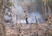 Lahan Warga Tebing Abang Terbakar, Polisi dan MPA Berjibaku Padamkan Api