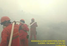 Karhutla Sumsel Kirim Asap hingga Wilayah Jambi dan Riau