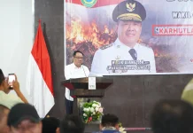 Kabut Asap Ganggu Ekonomi Rakyat, Pemprov Sumsel Dorong Strategi Adaptasi