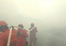 Karhutla Berkontribusi terhadap Penurunan Kualitas Atmosfer Sumatera Selatan