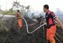 Diduga Dibakar Warga, BPBD Muba Padamkan Enam Hektare Lahan Terbakar