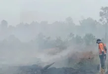 Selama Dua Hari, BPBD Muara Enim Padamkan 10 Hektare Lahan Terbakar di Desa Putak