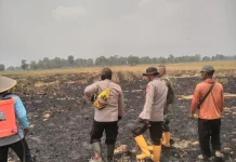Jaga Lingkungan Bersama, Polsek Pemulutan dan Warga Cegah Karhutla