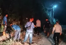 Karhutla di Belakang Perumahan Tubagus 2 OKU Berhasil Dipadamkan