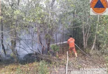 Tiga Lokasi Sekaligus Terbakar di Sekayu dalam Sehari, 11,5 Hektare Lahan Hangus