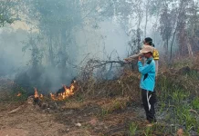 Sinyal Karhutla di Desa Gasing, Polisi Buru Sumber Asap Misterius