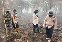 Kapolres Ogan Ilir Turun Padamkan Karhutla di Tanjung Pule