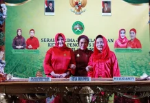Lucianty Pimpin PWPSS Sumsel, Bidik UMKM dan Aksi Kemanusiaan