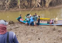 Warga Lalan Tewas Diserang Buaya Saat Cari Kepiting