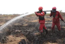Karhutla di Ibul Besar Ogan Ilir Padam, Dua Hektare Terbakar