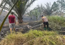 Polsek Pemulutan Padamkan Karhutla Satu Hektare di Ogan Ilir