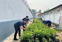 Lapas Sekayu Manfaatkan Lahan untuk Latih Kemandirian Warga Binaan