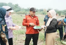 Wabup Banyuasin Panen Semangka di Daya Makmur