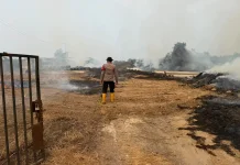 Lahan Samping PT Olympic Terbakar, TNI-Polri Bergerak Padamkan Api