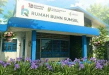 Rumah BUMN Dampingi Dian Kembangkan UMKM