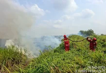 Karhutla Mendekat ke Tol Palindra, Petugas Fokus Pemukiman Warga
