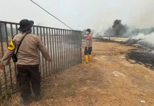Polisi, TNI dan BNPB Padamkan Karhutla di Banyuasin