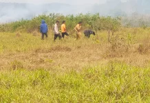 Cegah Api Kembali Muncul, Polsek Pengandonan Cek Lahan Terbakar