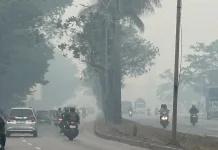 Kabut Asap di Sumsel Menebal, Ratusan Milyar Bantuan Presiden Dipertanyakan