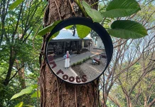 Convex Mirror: Dari Alat Keselamatan Jadi Spot Foto di Kafe