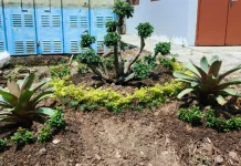 Empat Konsep Taman Kantor yang Bikin Suasana Kerja Lebih Nyaman