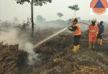 Karhutla di Lahan PT Mitra Ogan Mendekati Pemukiman Warga