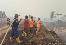 Karhutla di Muara Medak Muba Bakar Sepuluh Hektare Lahan