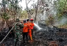 Empat OPD Banyuasin Terima Banpres Karhutla