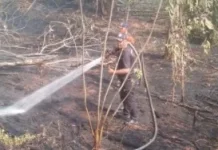 BPBD Muara Enim Padamkan Karhutla di Muaralawai dan Tanjung Jati