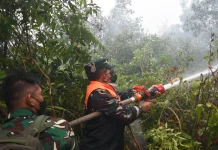 Pastikan Penanganan Berjalan Optimal, Danrem 044/Gapo Patroli Karhutla