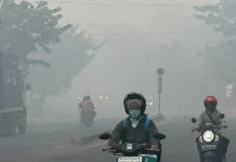 Penderita Ispa Hampir 50.000, Kabut Asap di Sumsel Tidak Wajar dan Sangat Berbahaya