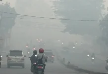 Kabut Asap Membahayakan, Kegiatan Gubernur Sumsel Keluar Kota Dinilai Tak Pantas